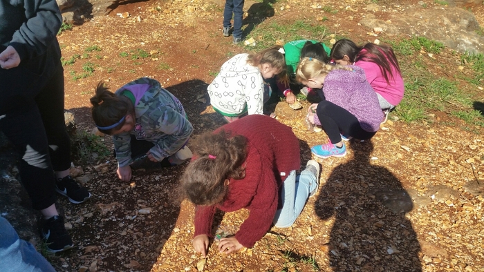 Digging for fossils.