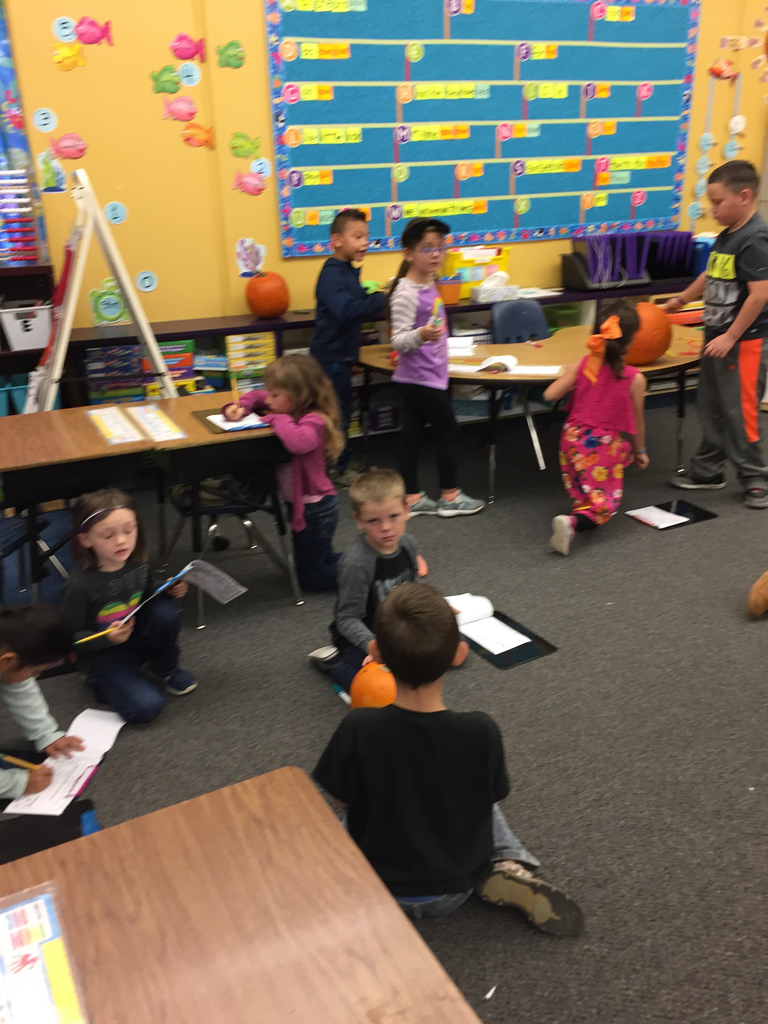 First grade measuring pumpkins!